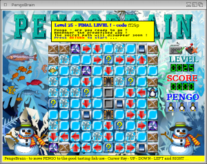 Pengo Brain