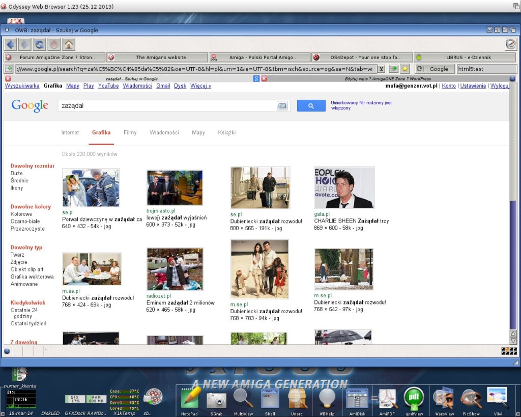 Wyszukiwarka grafiki Google